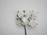 Ruusut Valkoinen 6 kpl