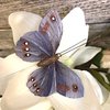 Perhonen Tumma violetti 9 x 8 cm +tikku