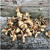 Kuivatut Puuvillanuput 45 g (cottonpods) natural