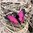Perhonen Lila pikkukiitäjätär 5,5 x 2,5 cm