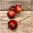 Omena puna-keltainen tikussa 30 mm