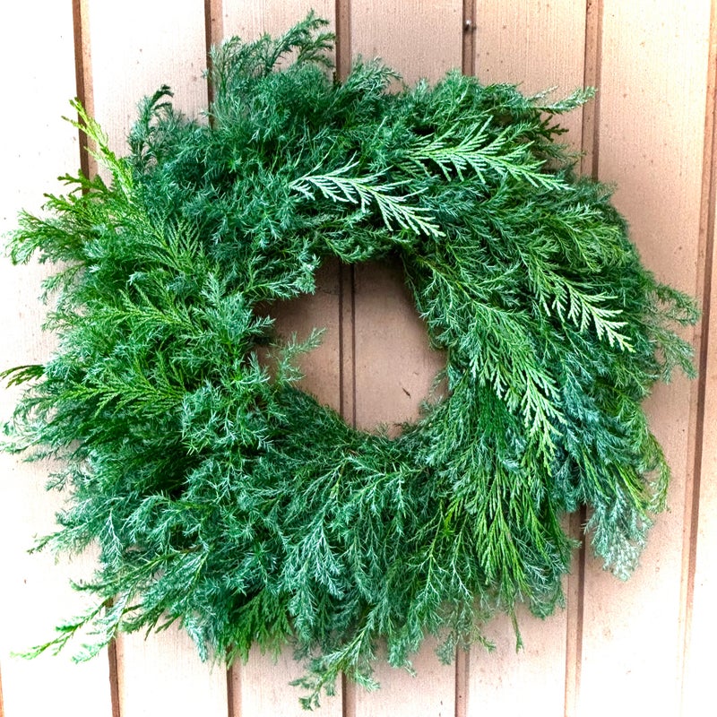 Sinikataja-tuija tuorekranssi