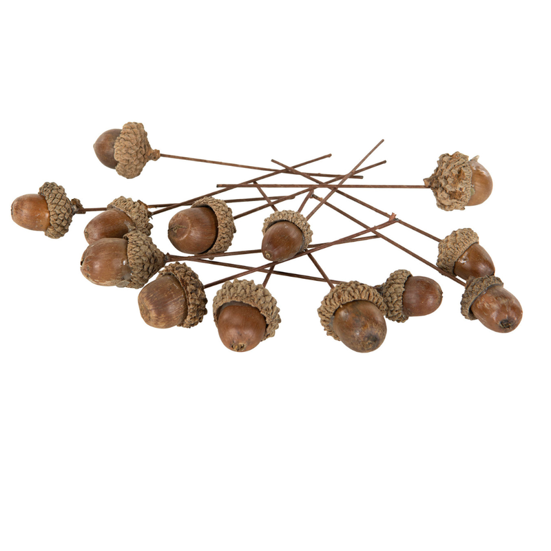 Tammenterhotikku 3 kpl